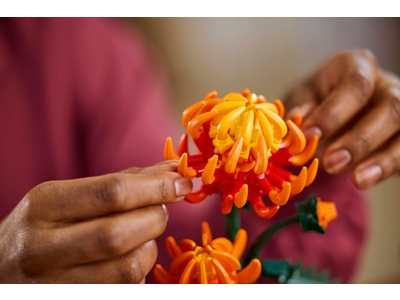 LEGO Chrysant (10368)