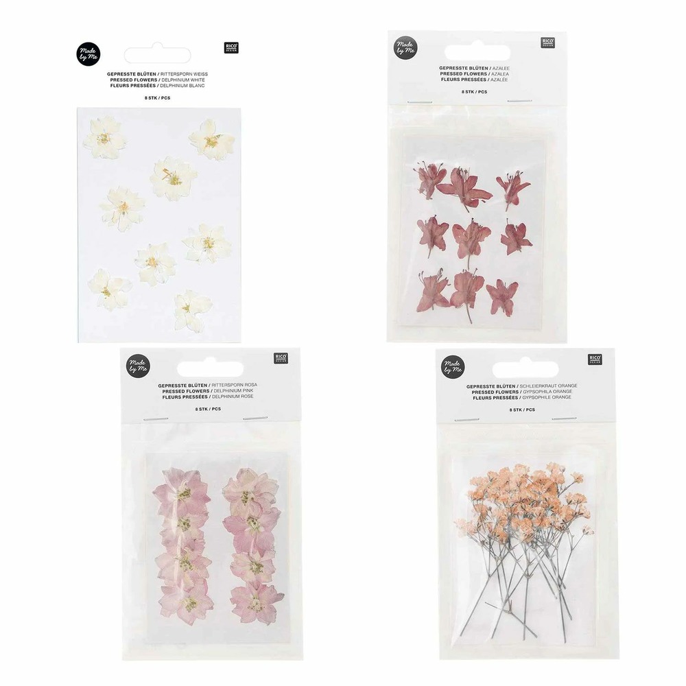 4 sets de bouquets séchés et pressés