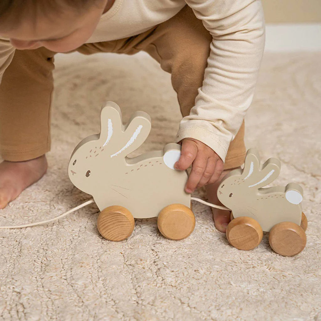 trekdier konijnen baby bunny
