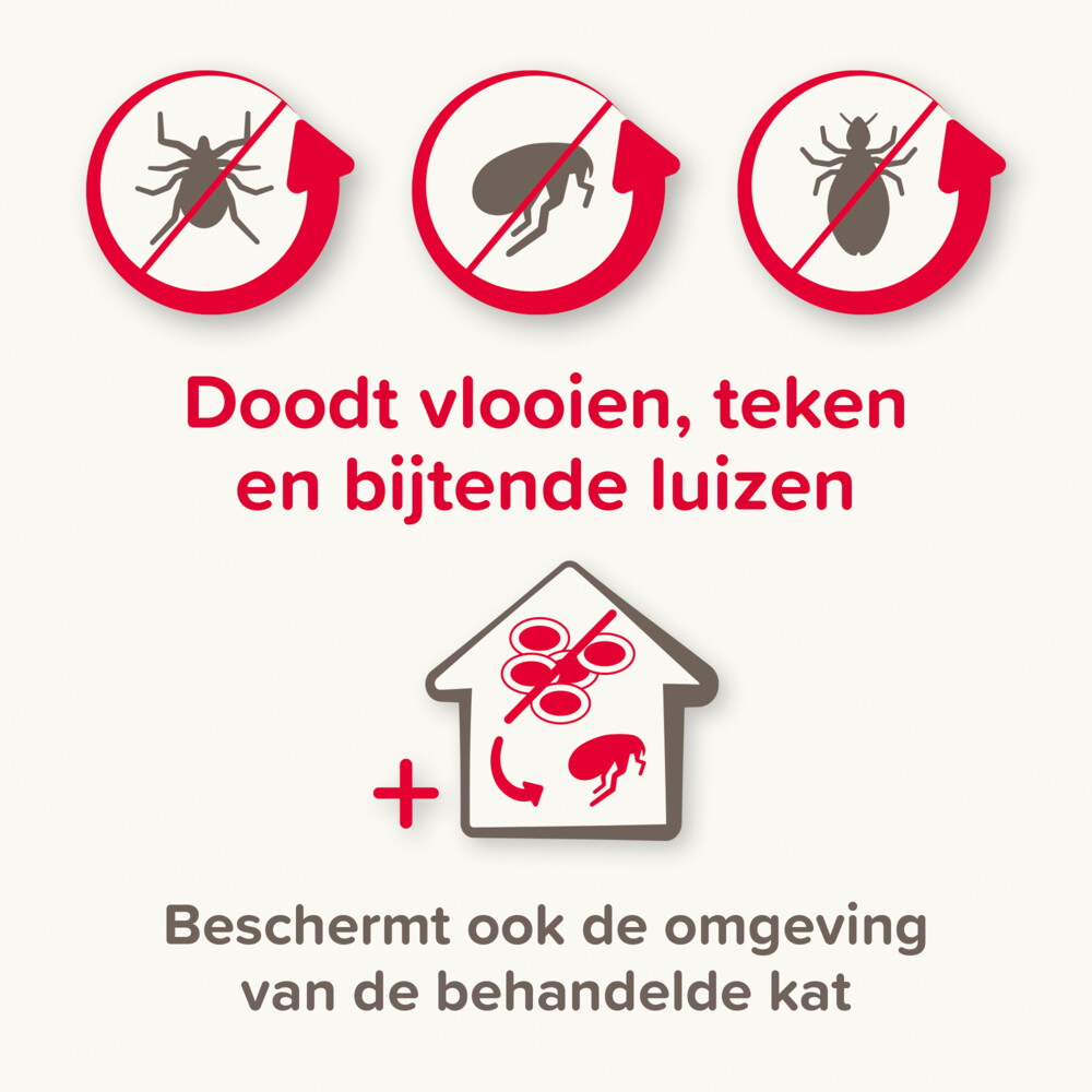 Beaphar Combotec Anti Vlooien en Teken Druppels Kat/Fret 2 pipetten