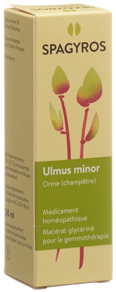 Spagyros Ulmus minor Glyc Maz 1 D Spr 30 ml
