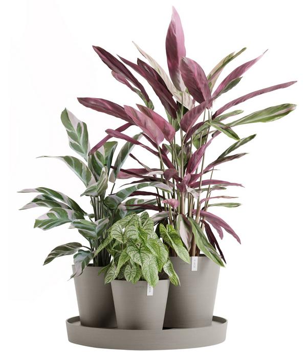 Ecopots Kunststoff-Topf-Set Dubai mit
