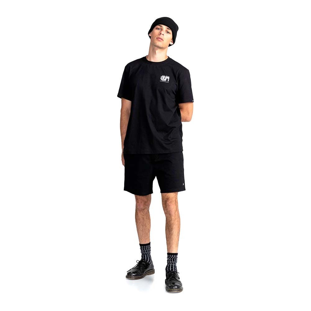 Element VALLEY TWILL - Short Homme flint black