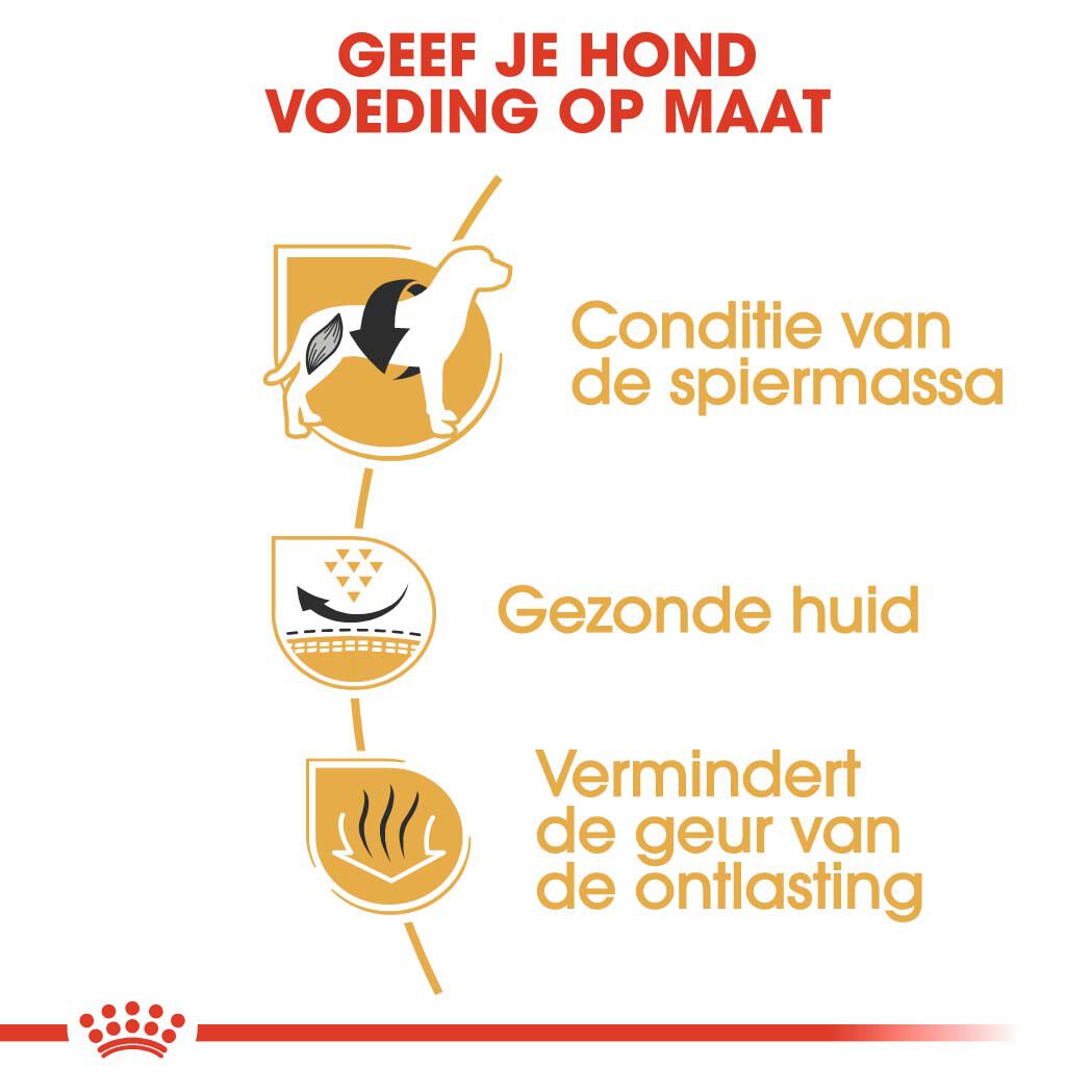 Royal Canin Franse Bulldog Adult - Hondenvoer - 3 Kilogram - gevogelte