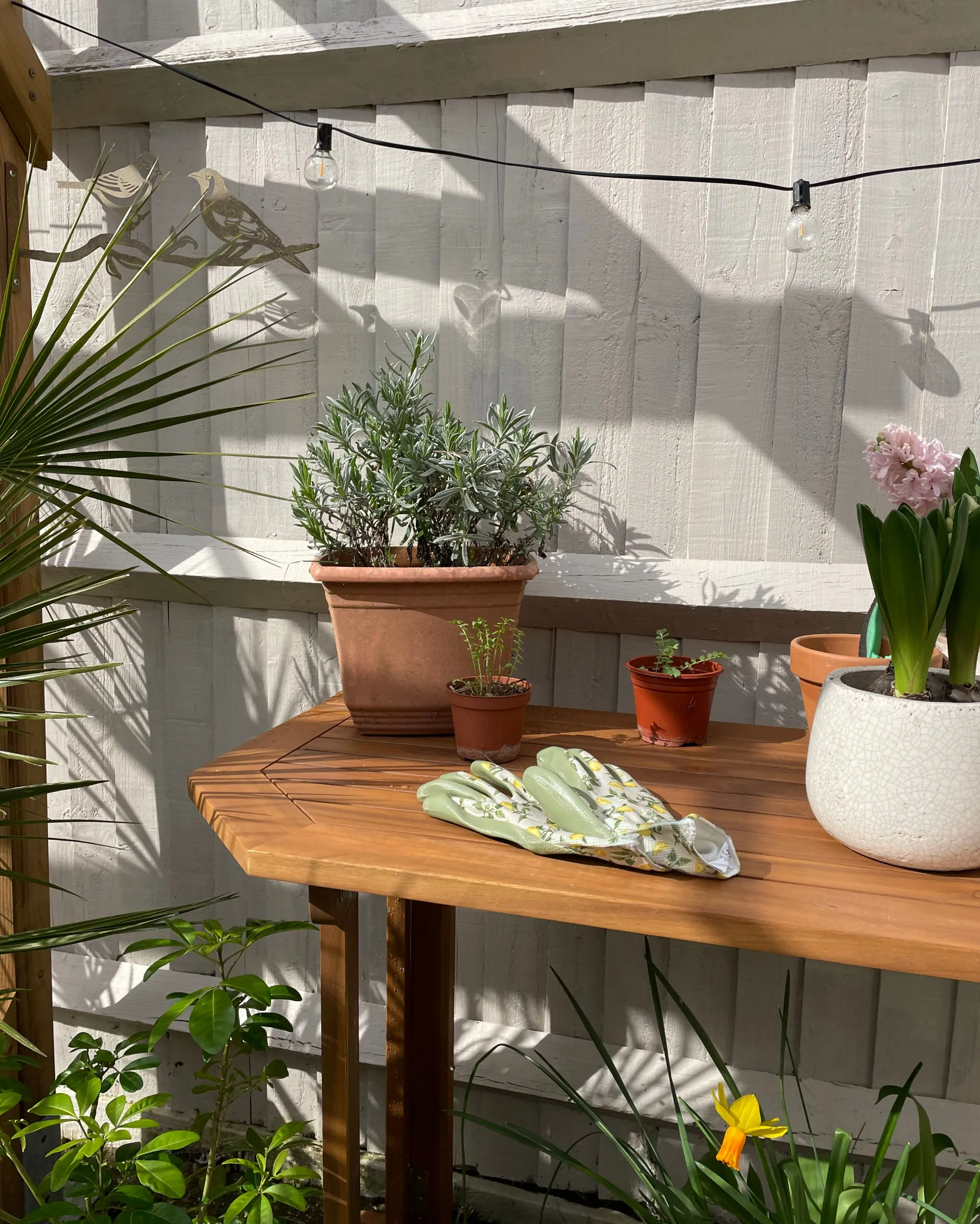 Balkontafel TREIA 110 cm 47 cm Acaciahout Bruin
