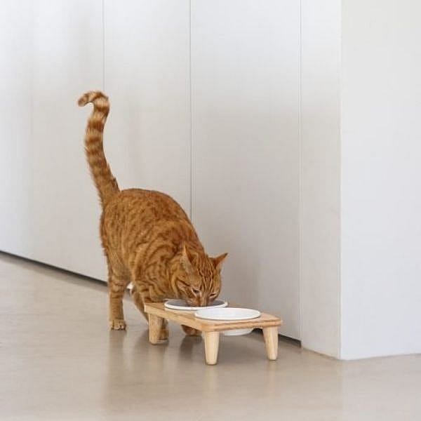 Designed by Lotte Houten Dinerset Djeha Kat | 15150