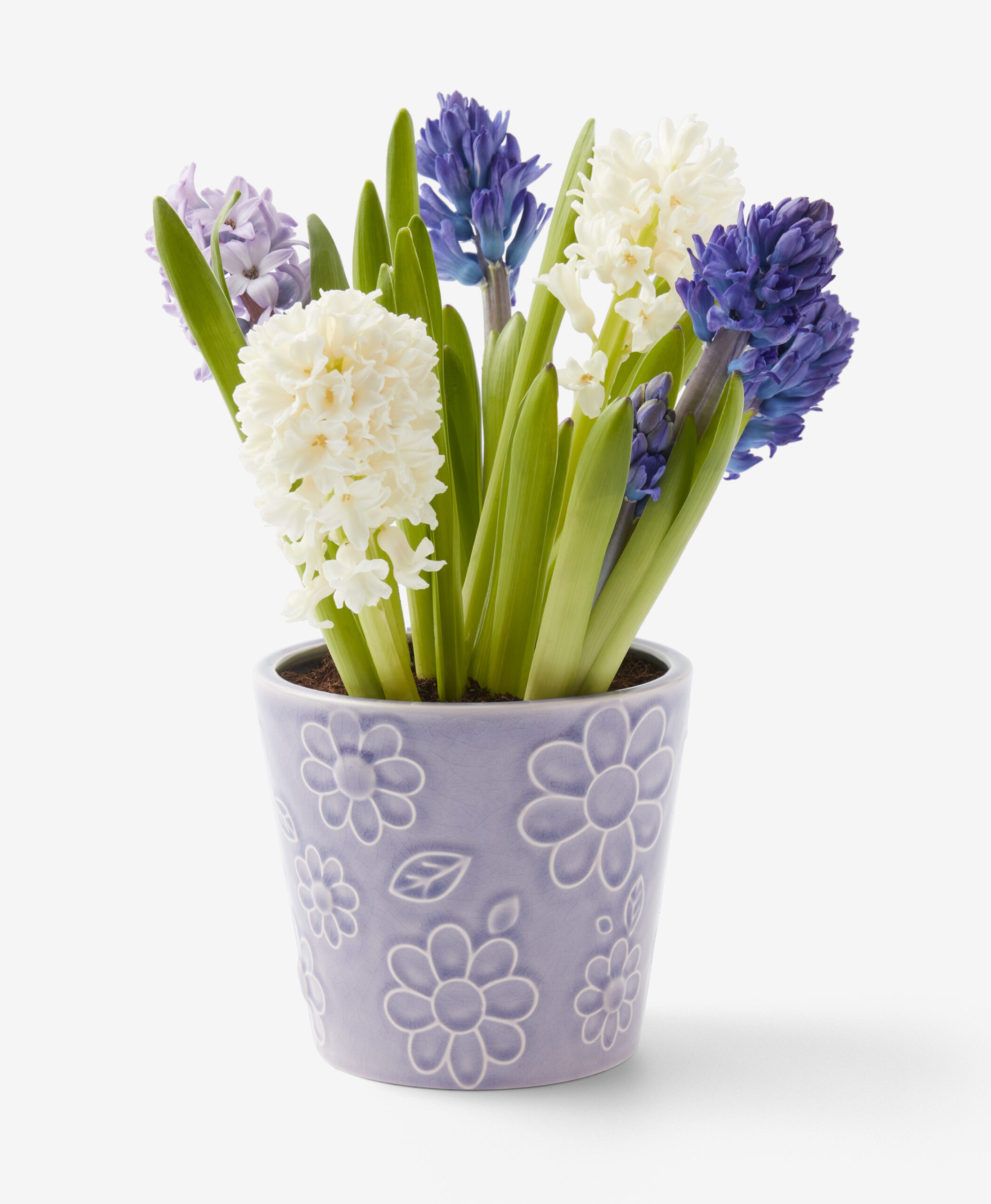 Blumentopf