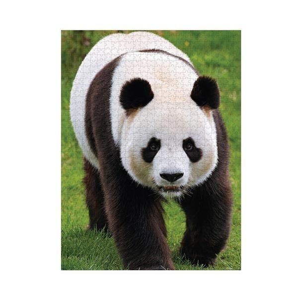 Ambassador - Pandas 1000 Teile