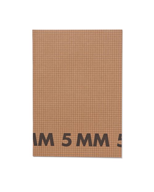 3 cahiers A4 à carreaux 5 mm