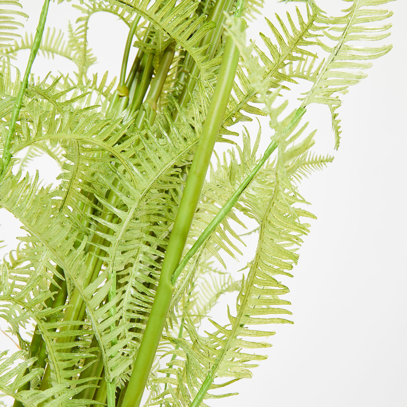 Pomax Fougère Fern verte - D.30xH.215 cm