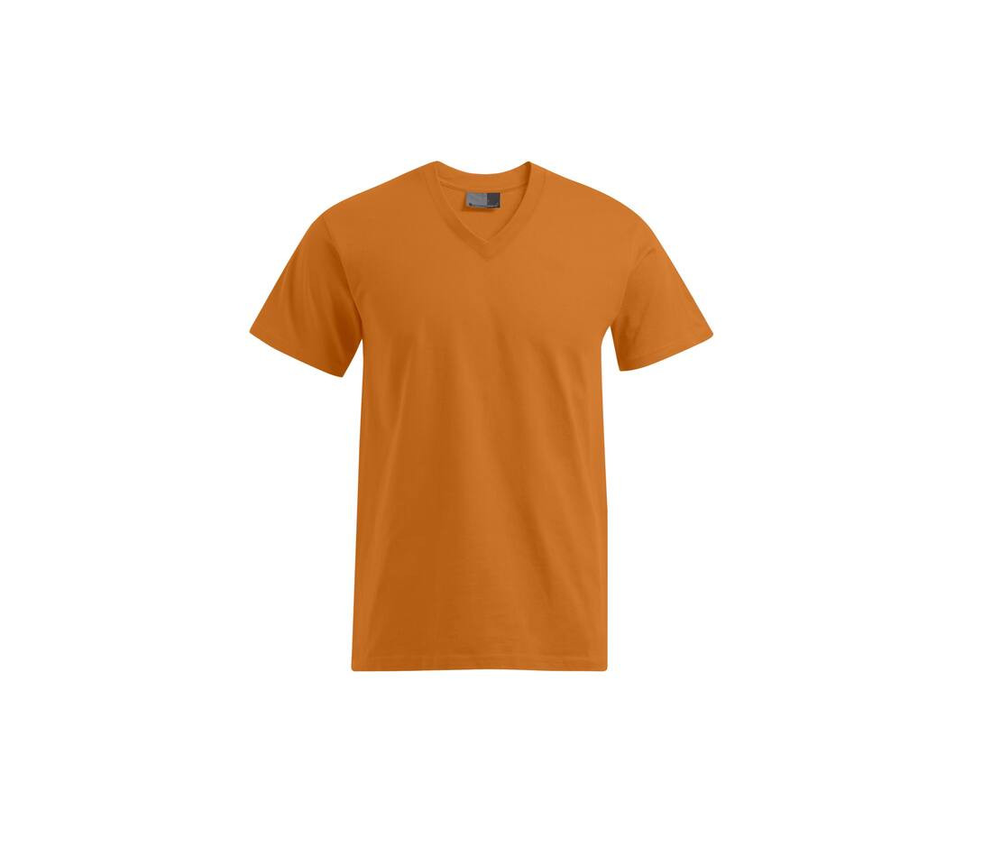 PROMODORO PM3025 - T-shirt Homme Élégant à Col V Promodoro