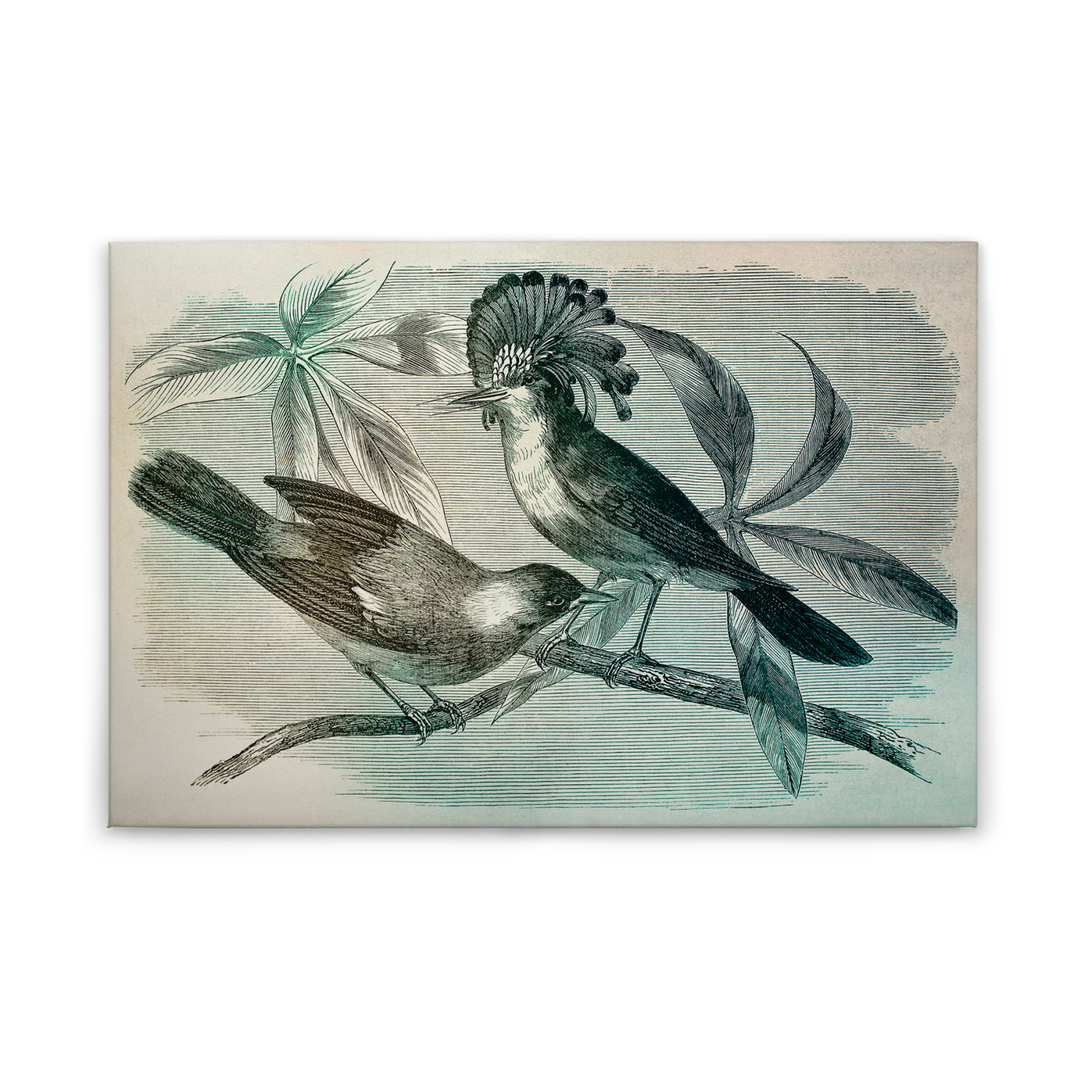 Leinwandbild VOGEL IM VINTAGESTIL - grün-blau - 90x60 cm