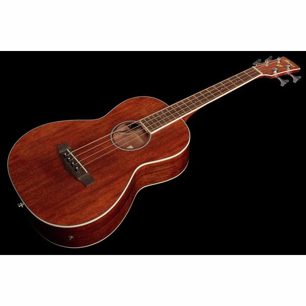 Ibanez PNB14E-OPN Acoustic Bass