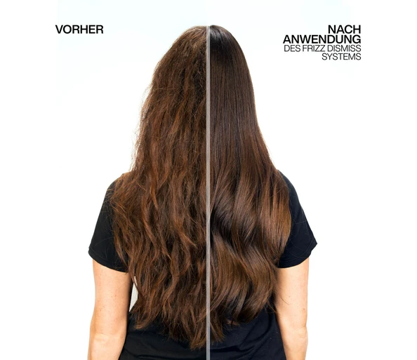 Redken Frizz Dismiss Shampoo