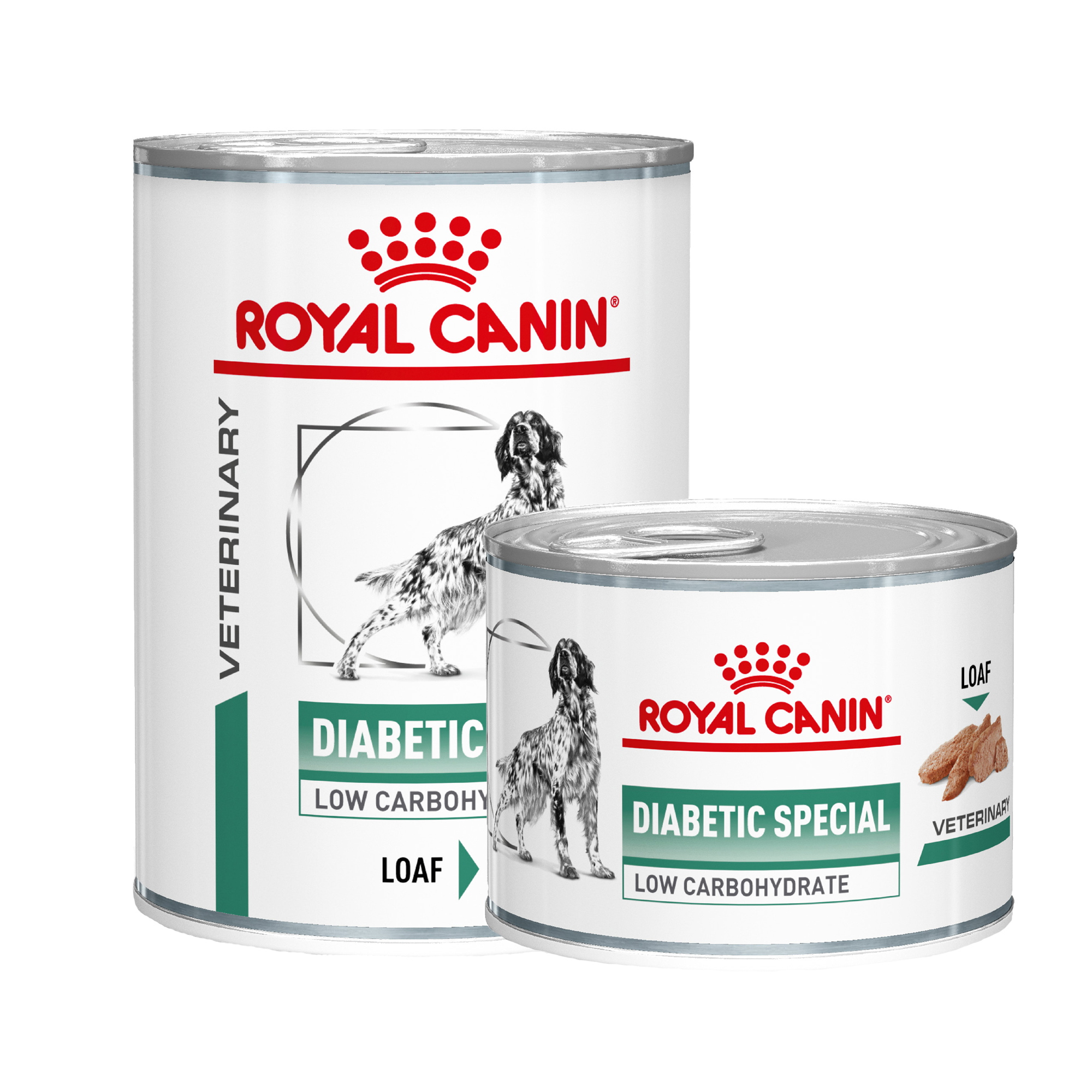 Royal Canin Diabetic Hond - Blik