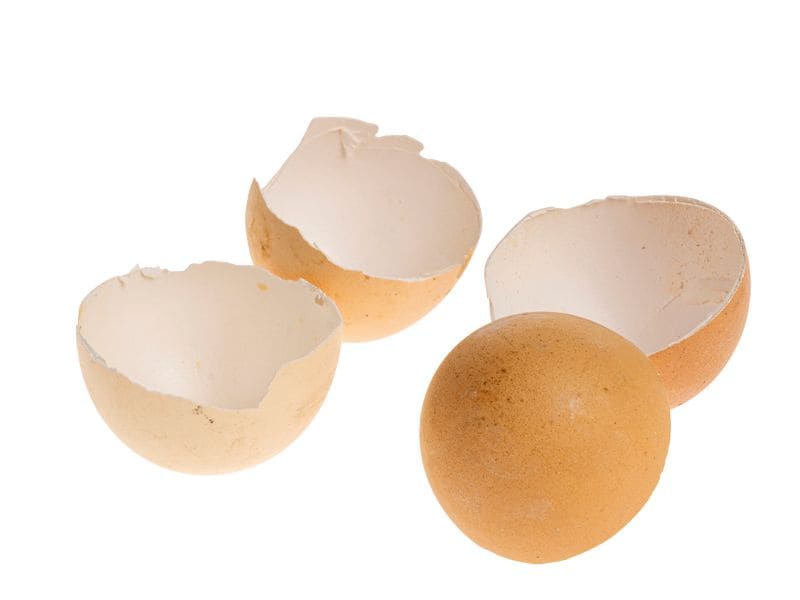 Opiflor Osterei-Schale 200 g, Natur-Braun Hühnereierschalen zum Dekorieren