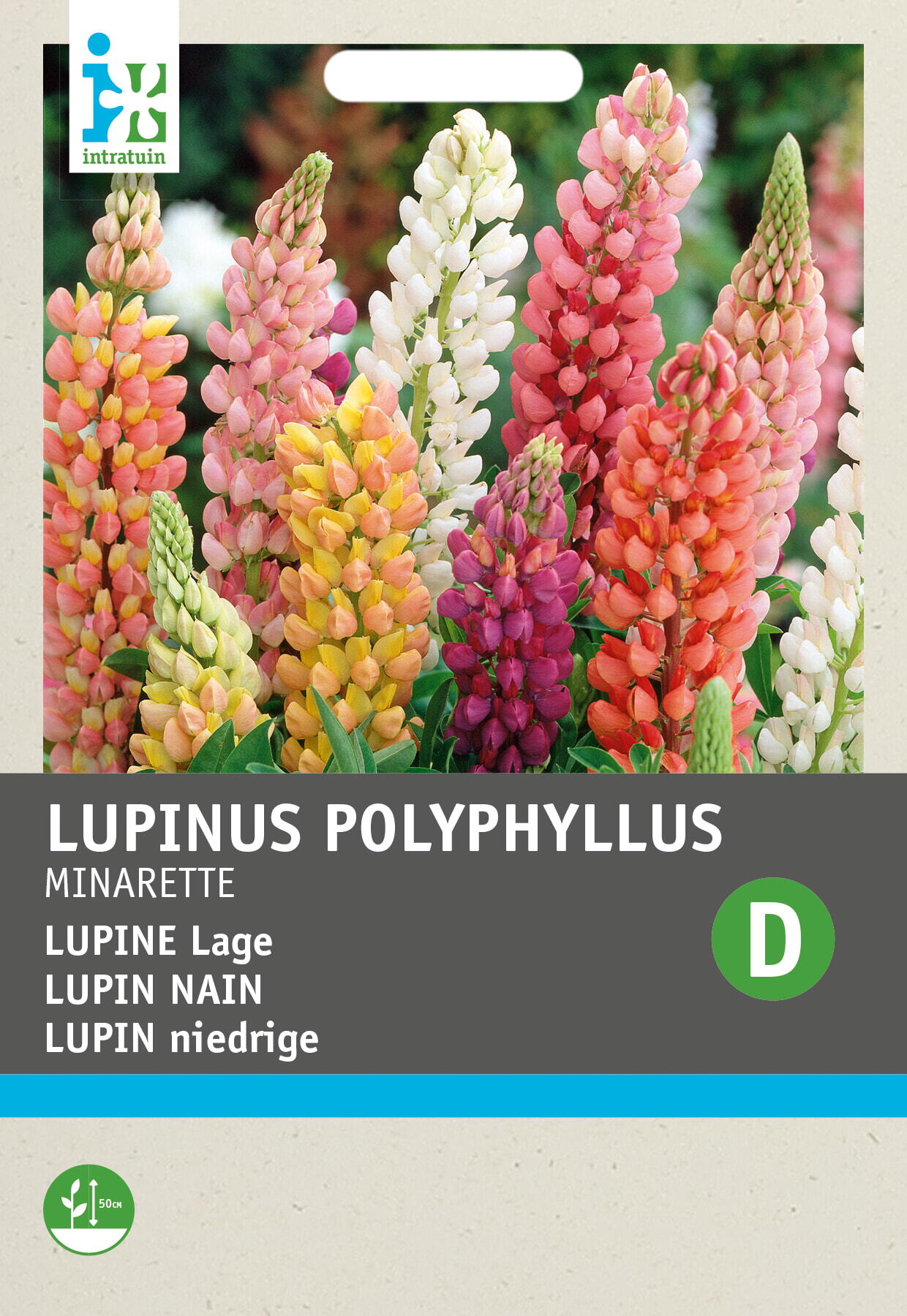 Intratuin bloemenzaad Lupine gemengd (Lupinus polyphyllus 'Russell's Minarette')
