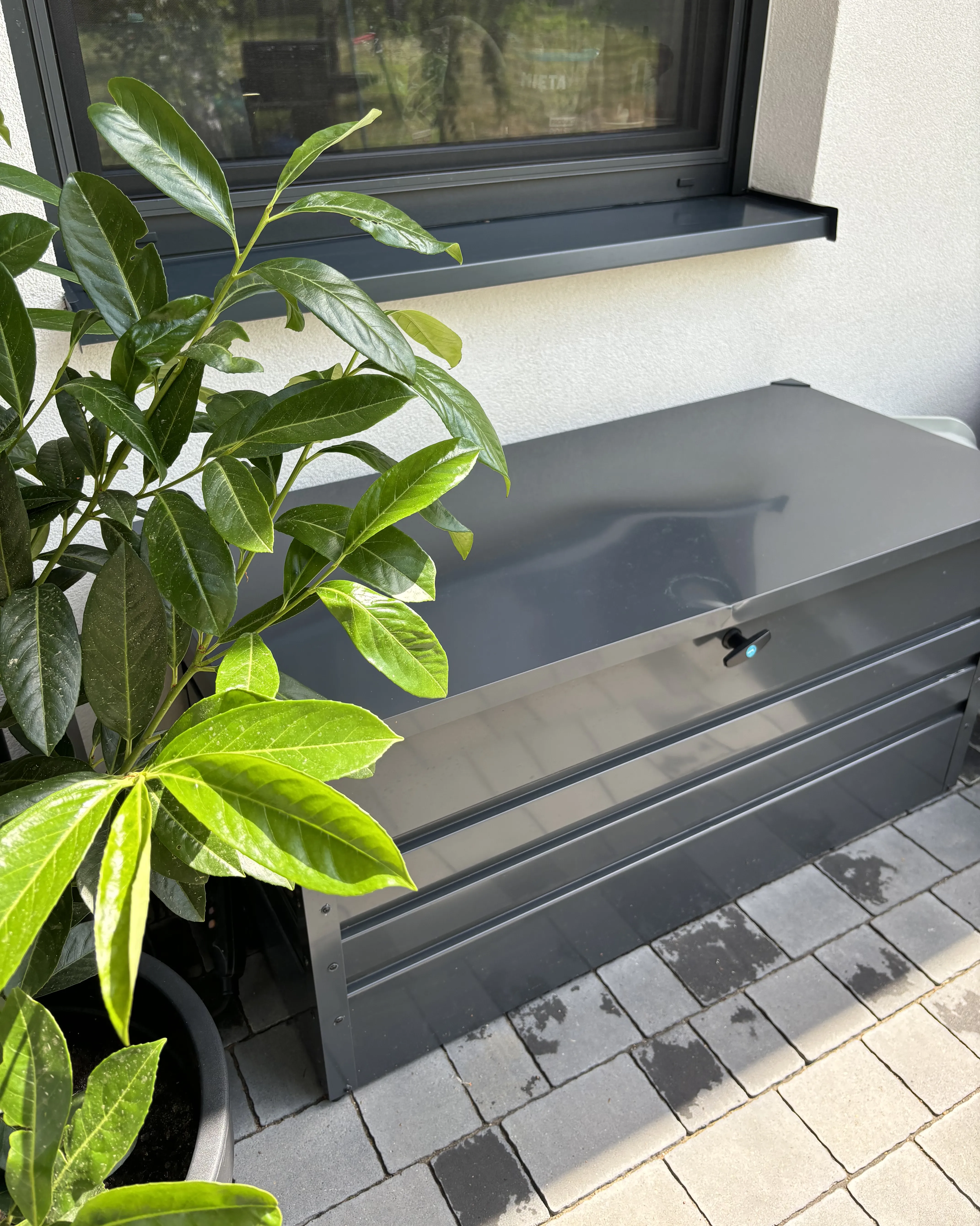 Kussenbox CEBROSA 132 cm 62 cm Grafietgrijs