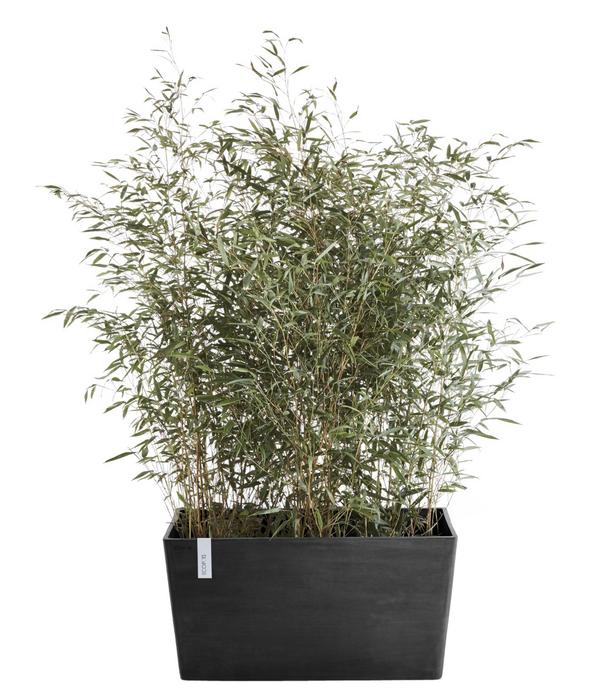 Ecopots Kunststoff-Kasten Paris, rechteckig