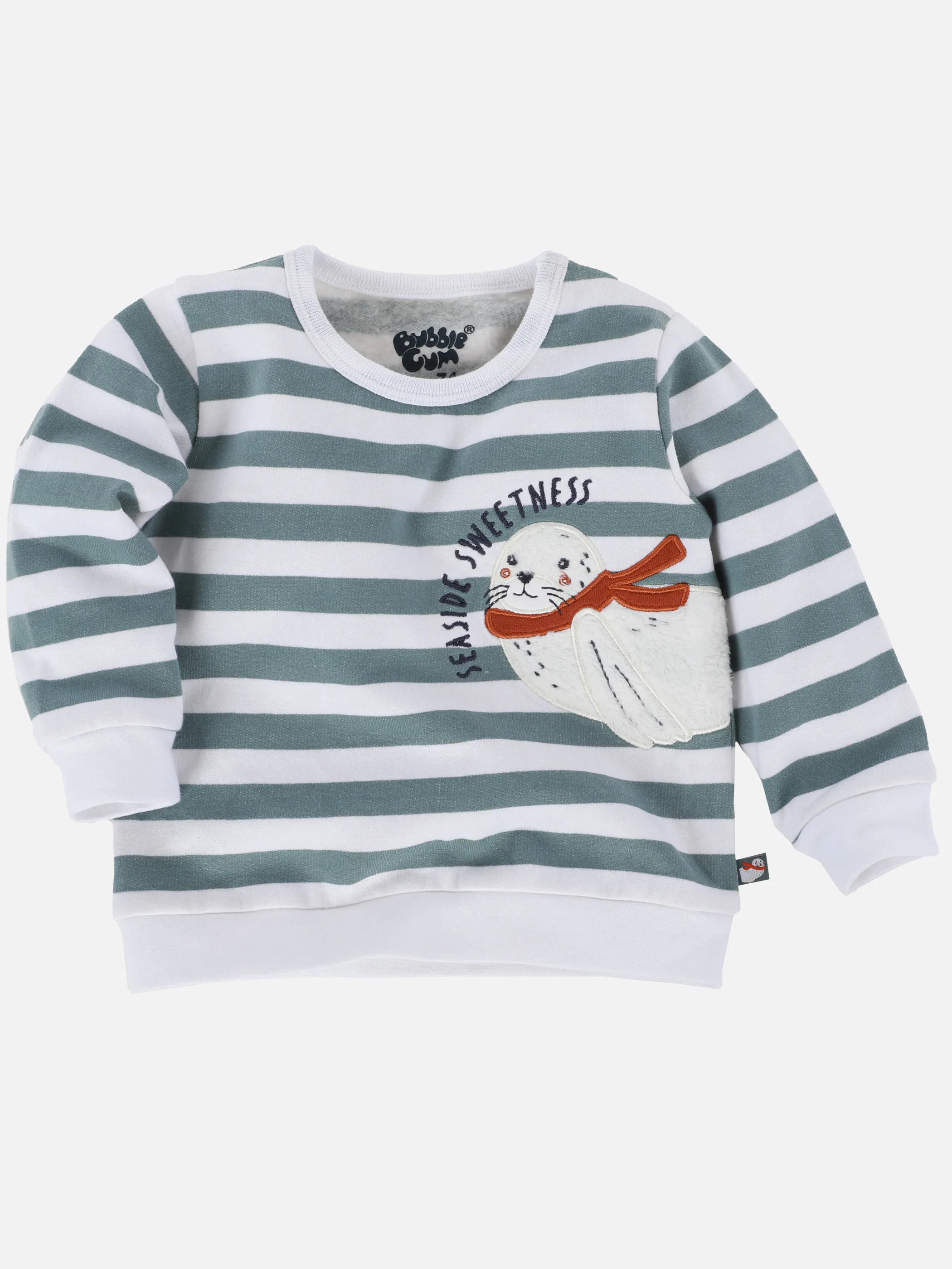 Baby Jungen Set bestehend aus Sweatshirt und Hose