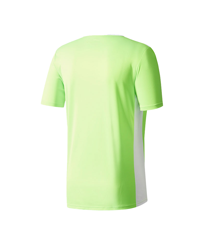 adidas Entrada 18 Trikot kurzarm Kids Grün Weiss