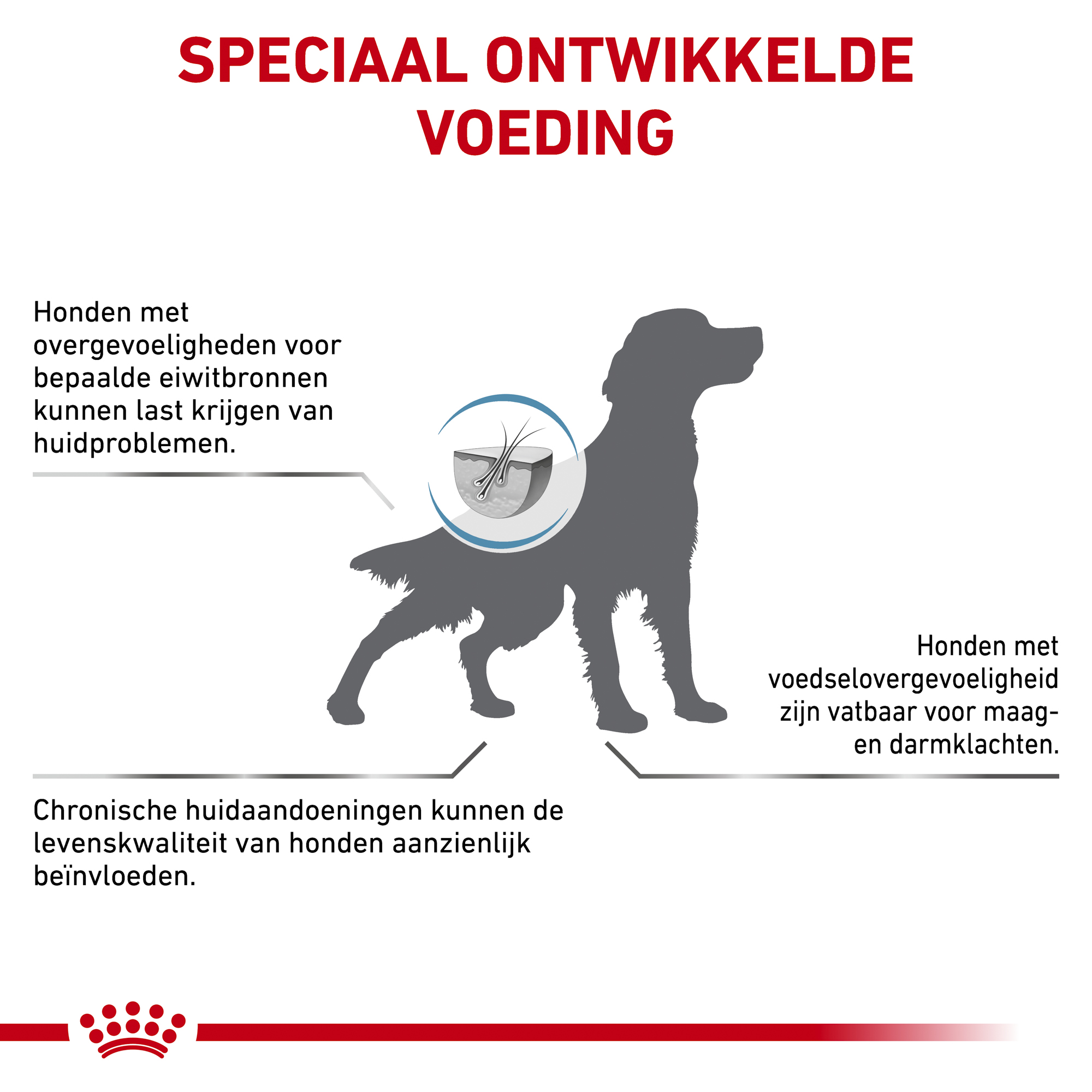 Royal Canin Hypoallergenic Hond