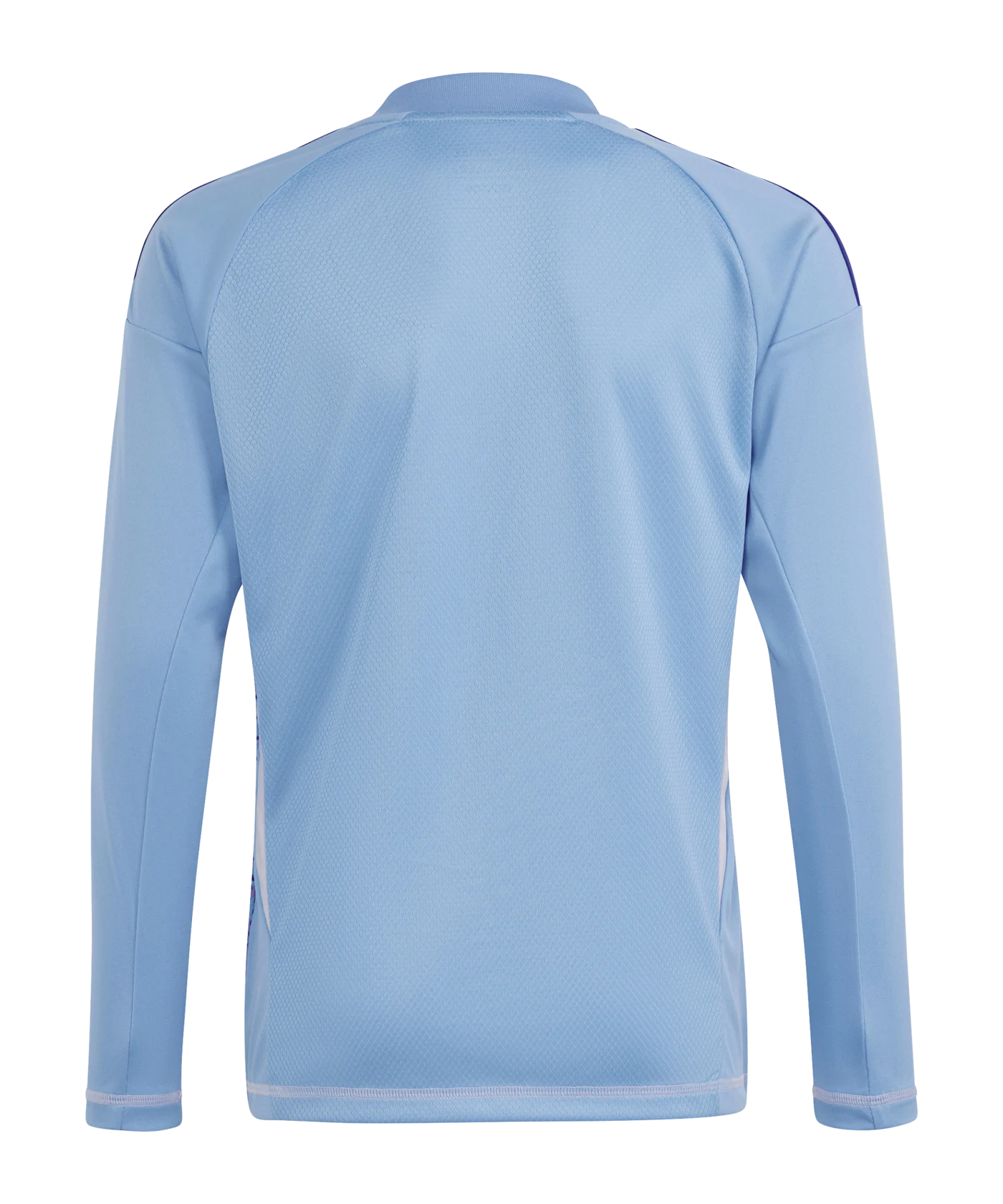 adidas Tiro 24 Competition Torwarttrikot langarm Kids Blau