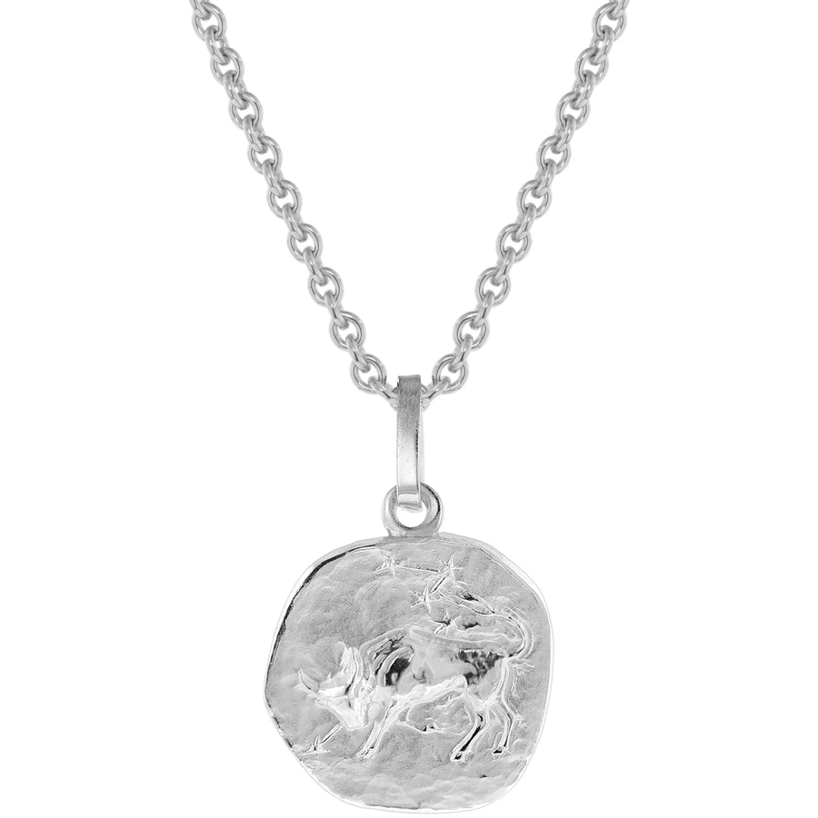 trendor Sternzeichen für Kinder Stier Weißgold 333 Anhänger + Kette silver