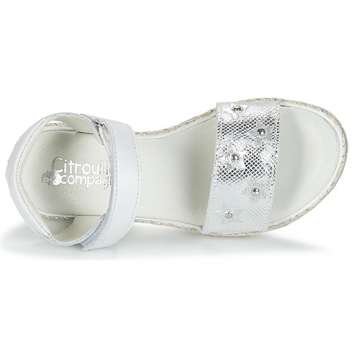 Citrouille et Compagnie - ILEVANDOK - Blanc / Argent
