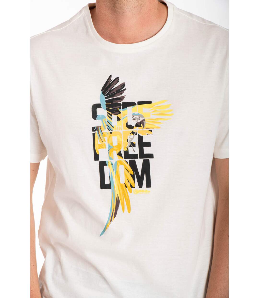 T-shirt imprimé perroquet MAURO BLANC