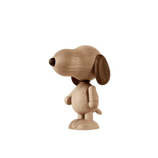 Boyhood Snoopy