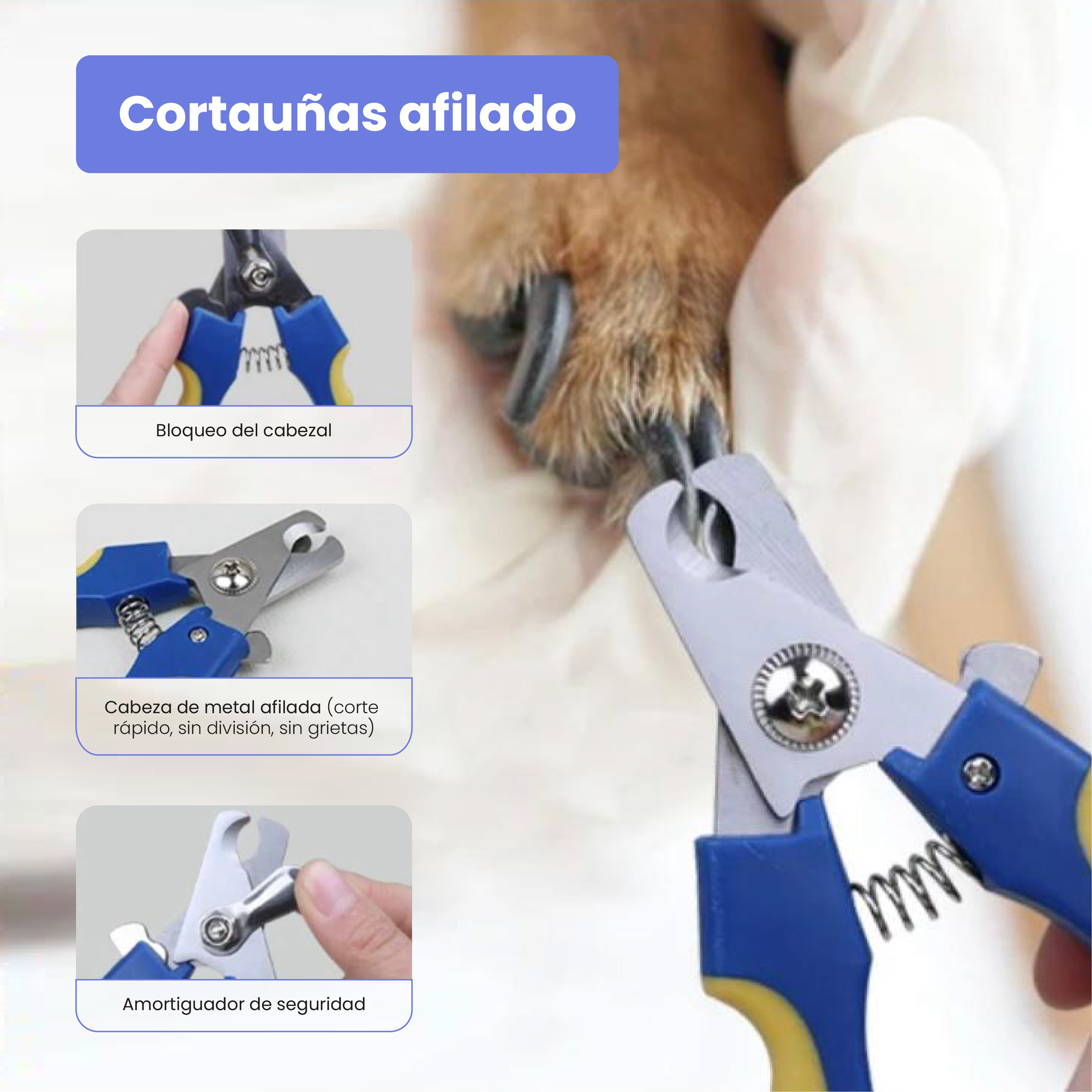 Kit de Higiene 8 em 1 TheKingPet
