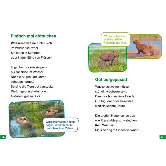 WAS IST WAS - Erstes LESEN easy! - Band 18 - Tiere im Regenwald