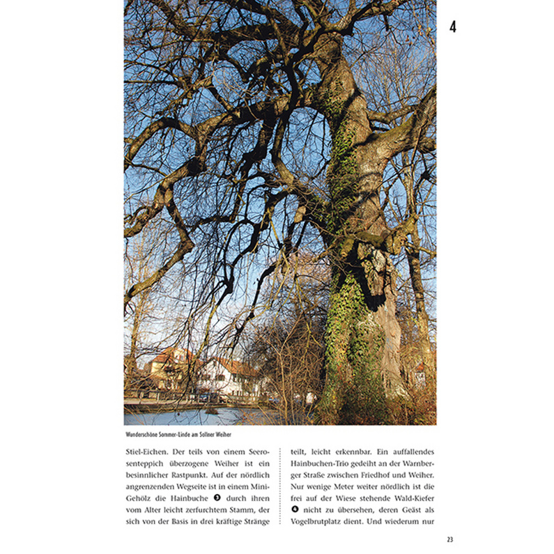 Frischluftedition Unterwegs zu Bruder Baum