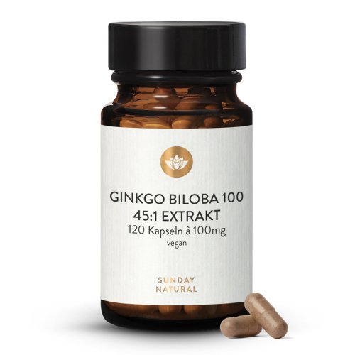 Sunday Natural Products  Ginkgo Biloba 100 mg 45:1 Extrakt