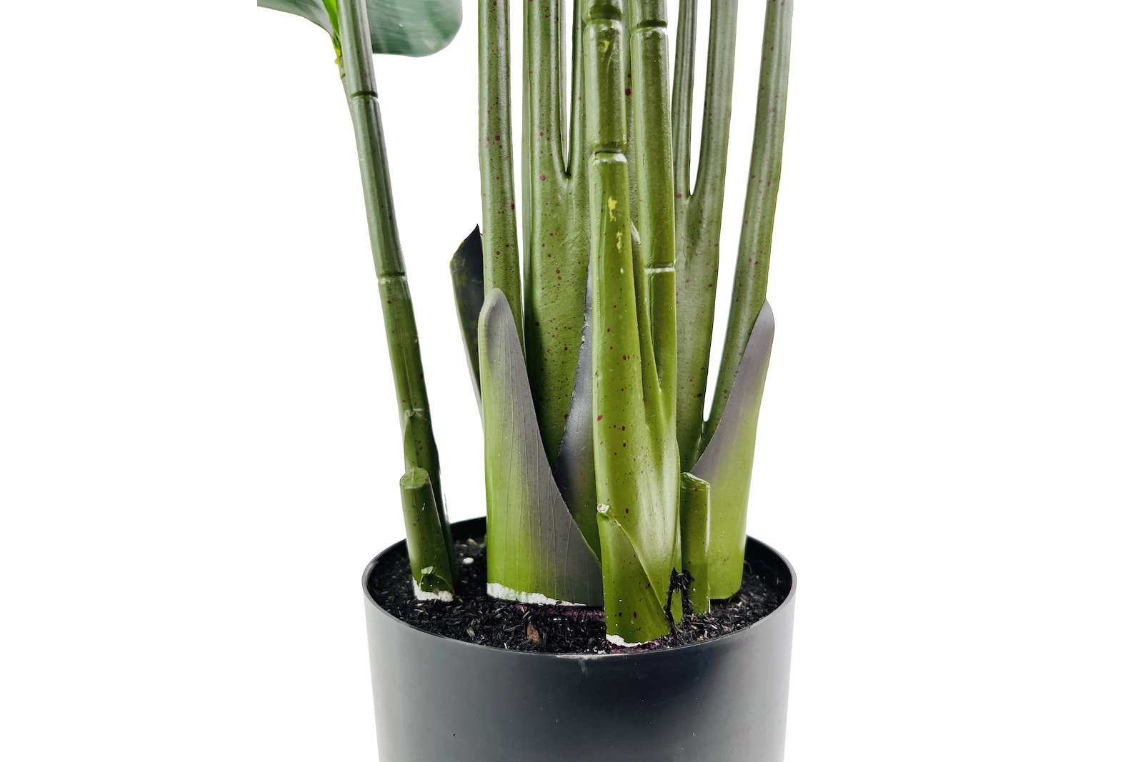 Banantre potteplante Grønn H120 cm