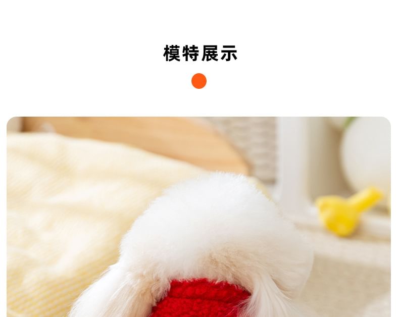 2 nachten - Dragon Chenille Hooded Pet Top