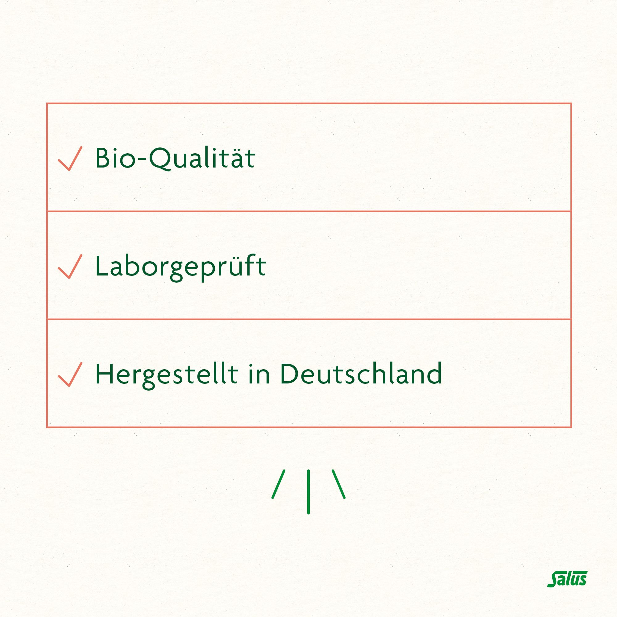 Salus FreeBalance Gerstengras-Birke Basischer Tee