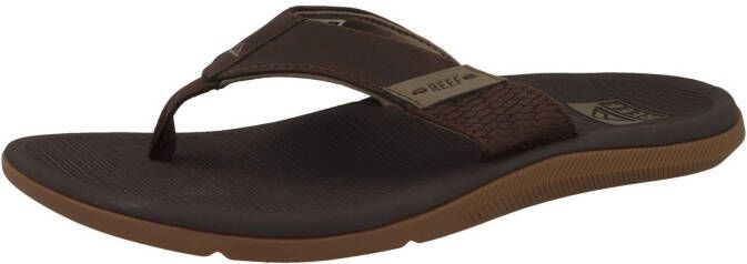 Reef Santa Ana Teenslippers Ci4651 Kleur Bruin