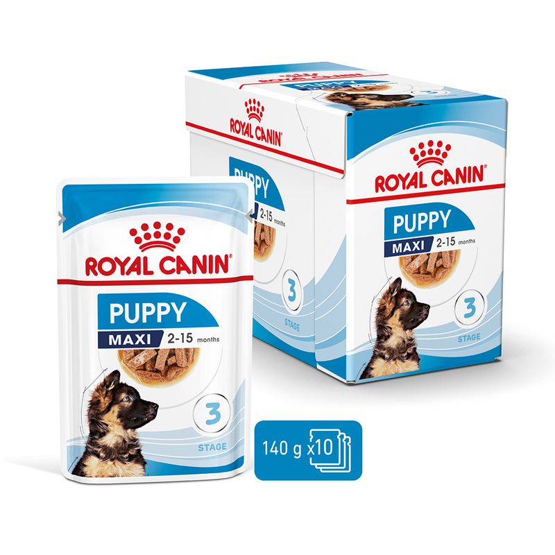Royal Canin Maxi Puppy en sauce
