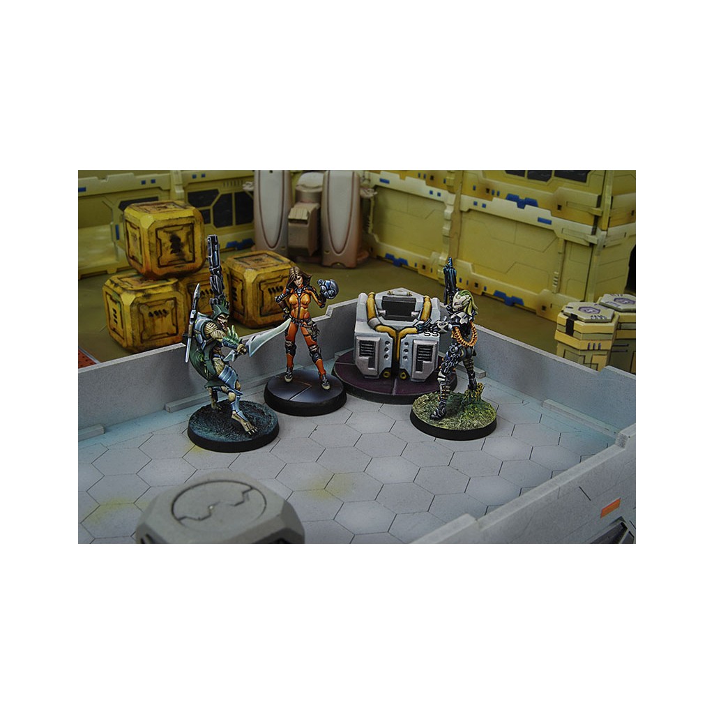 Infinity - Dire Foes Mission Pack 5 : Viral Outbreak