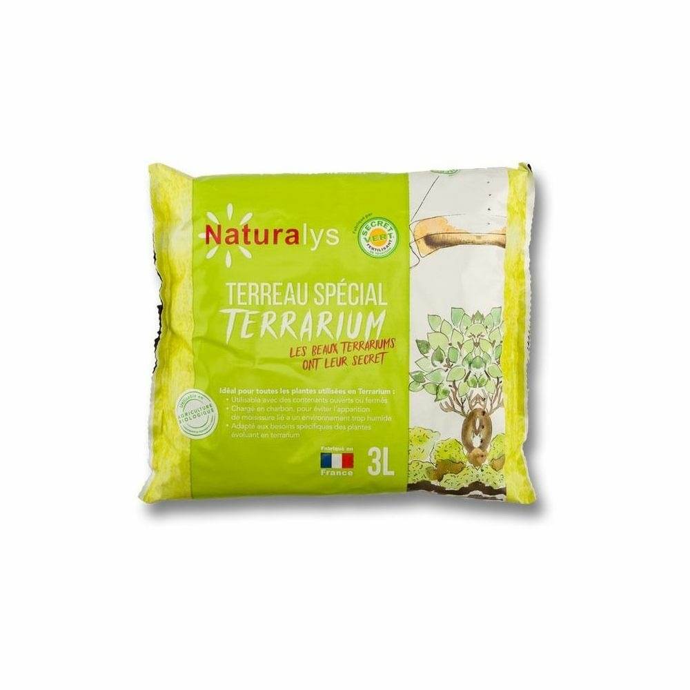 Terra kit - bonbonne m ginseng