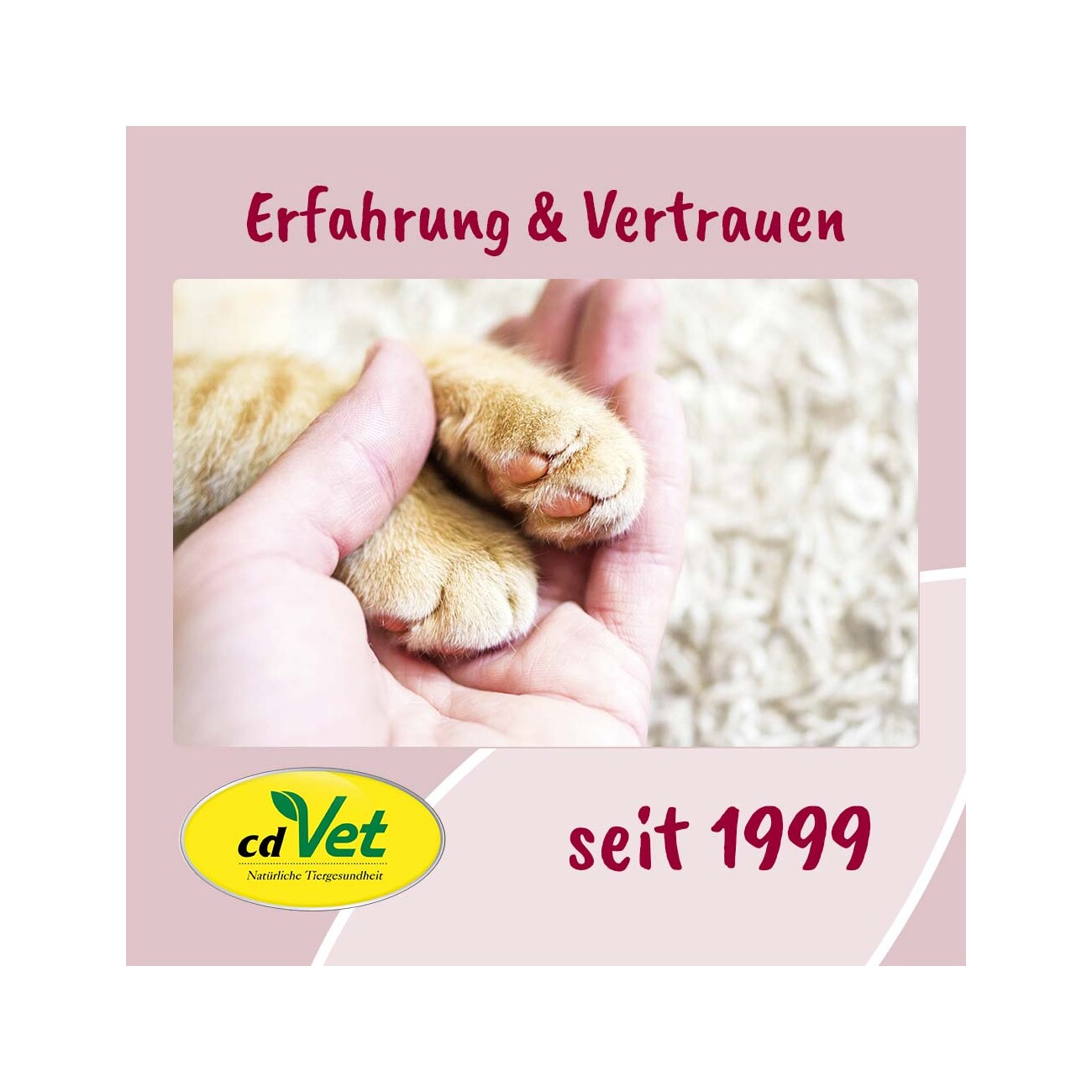 cdVet feliTATZ FellGlanz
