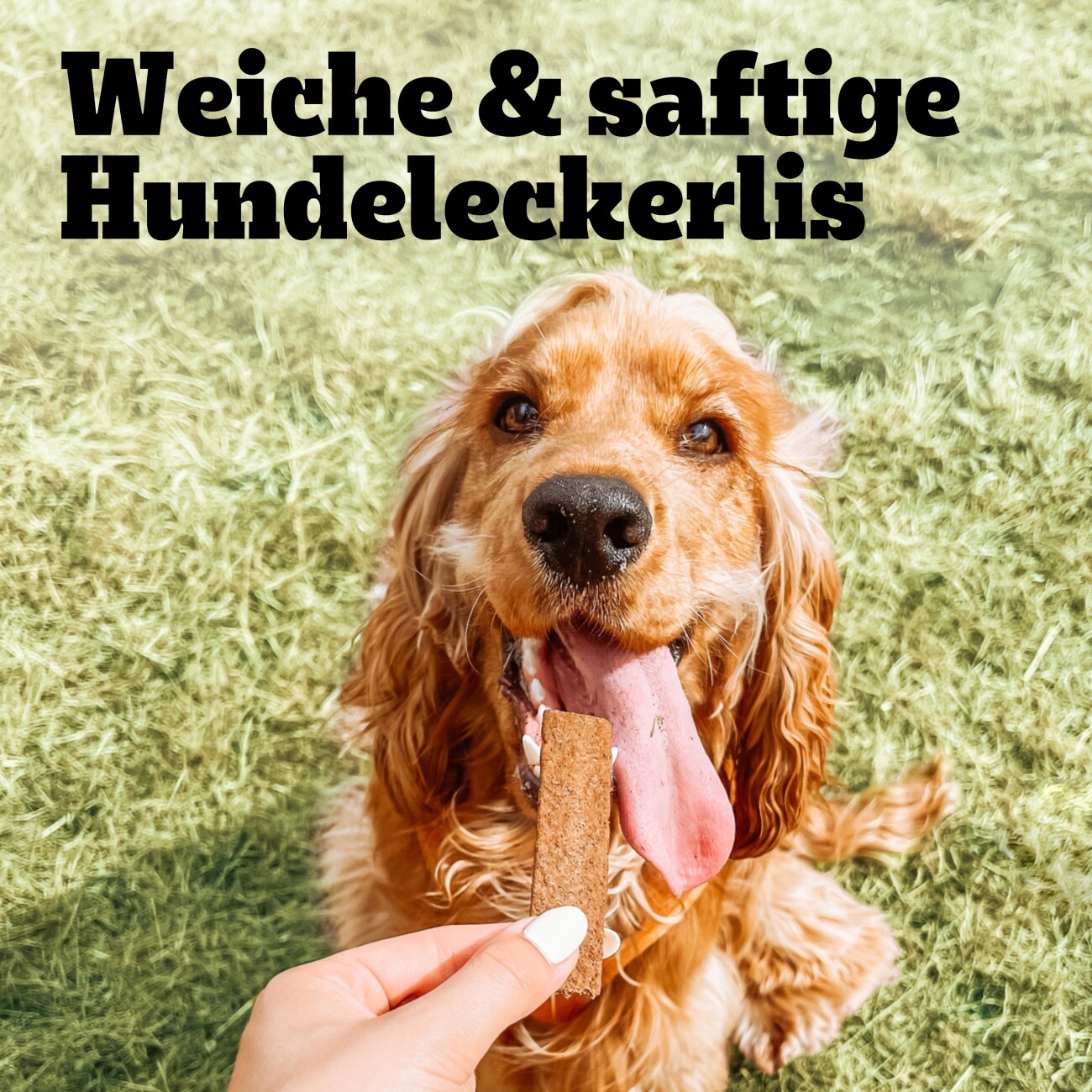 Pedigree Mixbox Schmackos 9x144 g