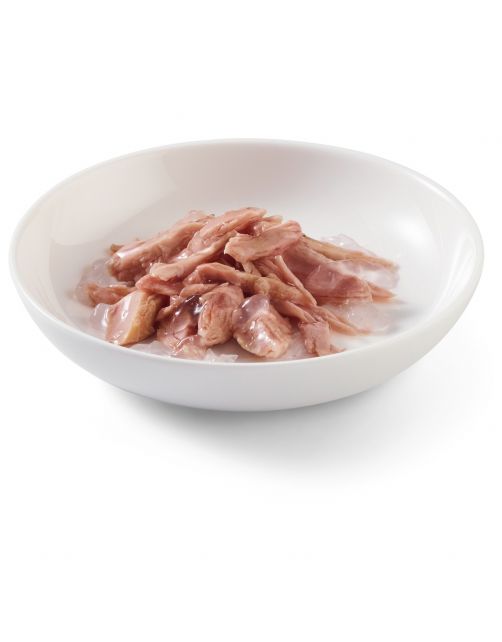 Schesir Kat Mp Blik Gelei 6x50 g - Kattenvoer