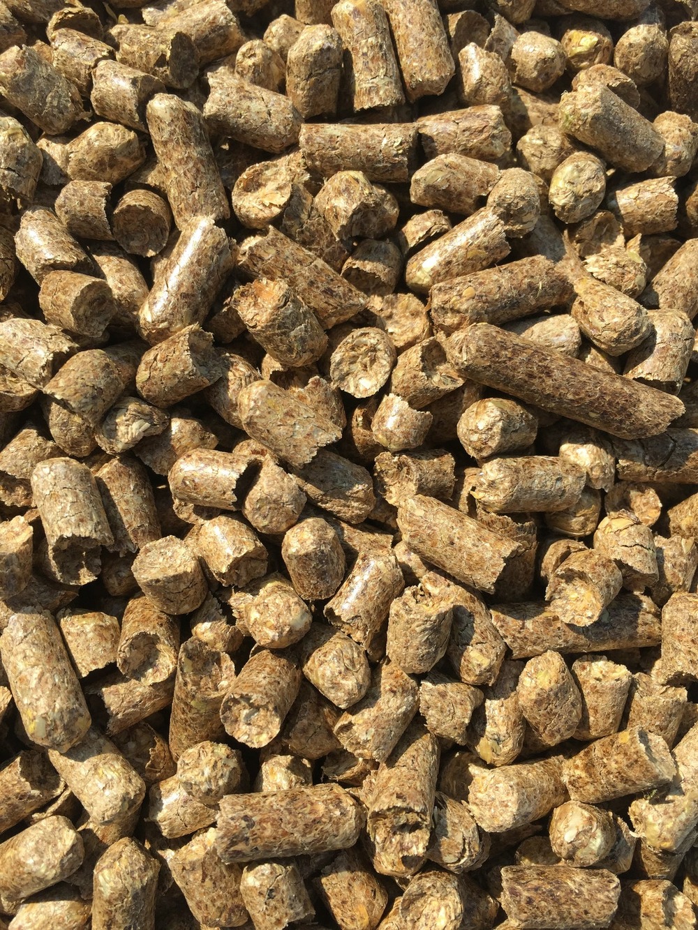 Litière chat et rongeur 100% végétale bio 5kg
