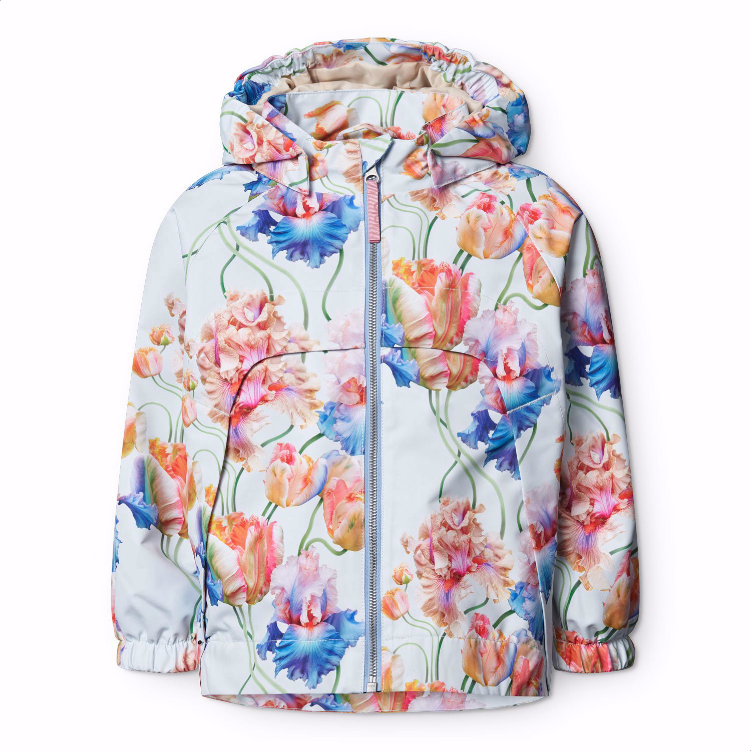 Hoplas - Tulip Blue