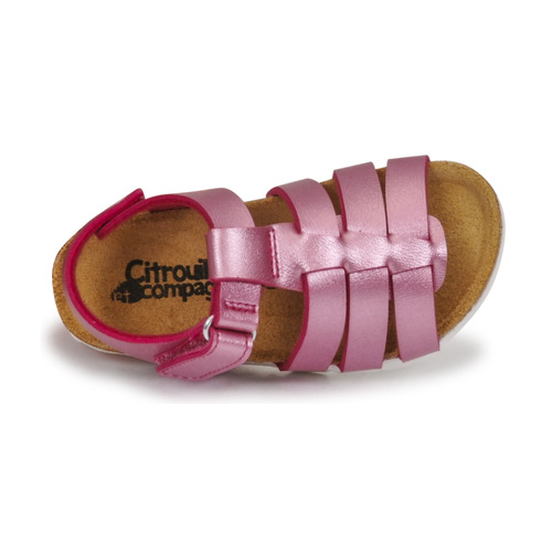Citrouille et Compagnie - MALIA - Rose