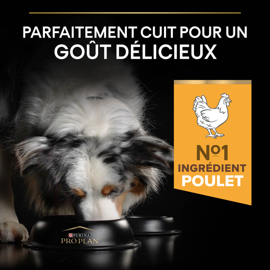 Croquettes chien adulte stérilisé Super Premium - 7 kg