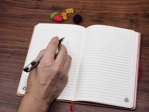Caderno ecológico com estampa de gato da Caudania. Lá vou eu!